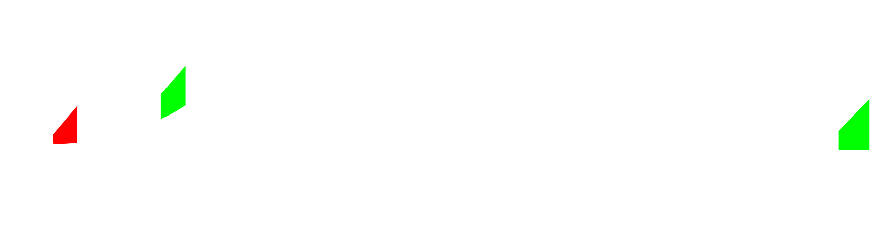 TMGM